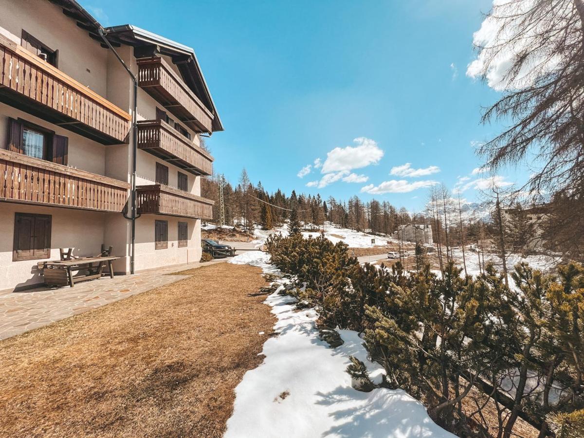 Una Perla A Cortina Cortina dʼAmpezzo Eksteriør billede